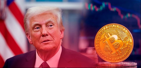 Donald Trump, ahora cripto-porno