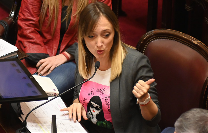 Anabel Fernández Sagasti durante la sesión en el Senado. Foto Federico López Claro.