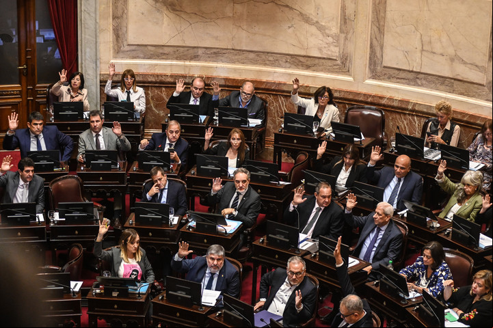 Sesión en el Senado
Bloque. Foto Federico López Claro.