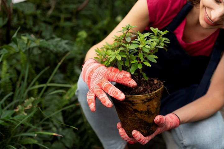 Cada vez más jardineros argentinos adoptan este fertilizante natural con excelentes resultados. Foto: Freepik.