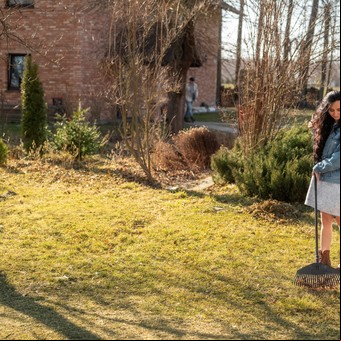La fórmula de jardineros para evitar el moho en el césped: paso a paso