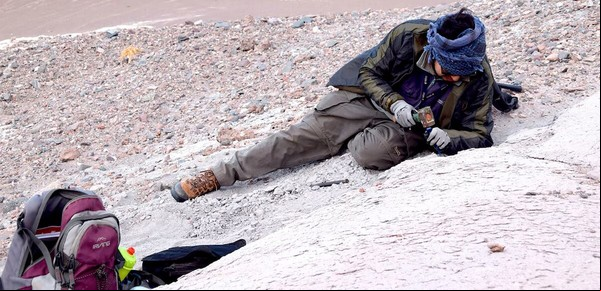 Un ecosistema perdido: descubren una increíble fauna acuática y terrestre de la Patagonia prehistórica