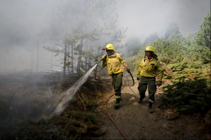 Decenas de hectáreas fueron afectadas por incendios en Río Negro. Foto: DYN/Marcelo Martínez/Diario Río Negro.