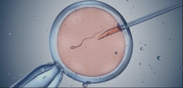 Por un error en la clínica de fertilización in vitro dio a luz al bebé de otra persona 