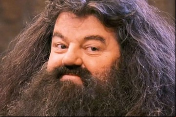 La serie de Harry Potter ya tiene a su nuevo Hagrid: “Robbie, no te decepcionaré”