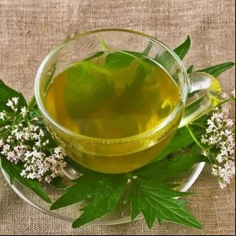 Cuál es el mejor té para bajar la presión arterial y el estrés