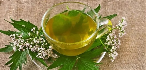 Cuál es el mejor té para bajar la presión arterial y el estrés
