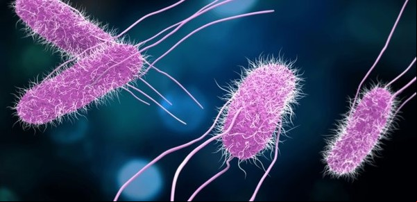 Advierten que un antiguo asesino se está volviendo rápidamente resistente a los antibióticos