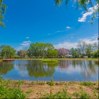 Un paseo entre mariposas y carpinchos: conocé la reserva ecológica imperdible en zona norte