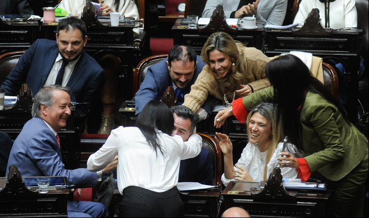 El festejo de los diputados libertarios tras aprobar el paquete fiscal el año pasado. FOTO: Federico López Claro.