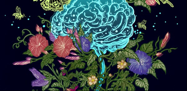 Las hormonas sexuales son hormonas cerebrales. ¿Qué implicaciones tiene esto para el tratamiento de enfermedades cerebrales?
