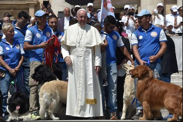 El Papa que consideraba a los perros "criaturas con alma": los gestos más nobles hacia los animales que marcaron su pontificado