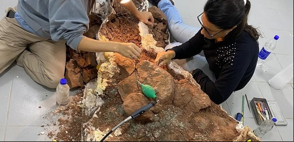 Encuentran 11 huevos de dinosaurio en la Patagonia Argentina: cuál es la importancia del hallazgo y principales características