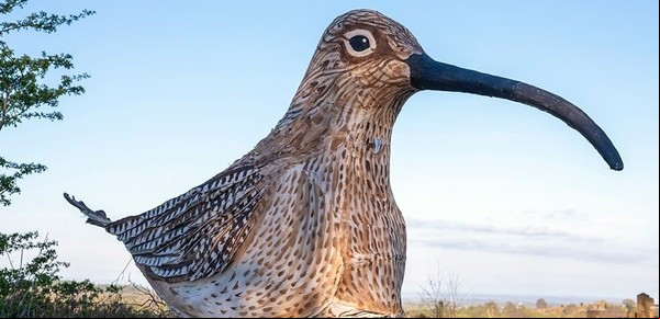 Caminó 80 kilómetros disfrazado de ave para alertar sobre una especie en peligro de extinción
