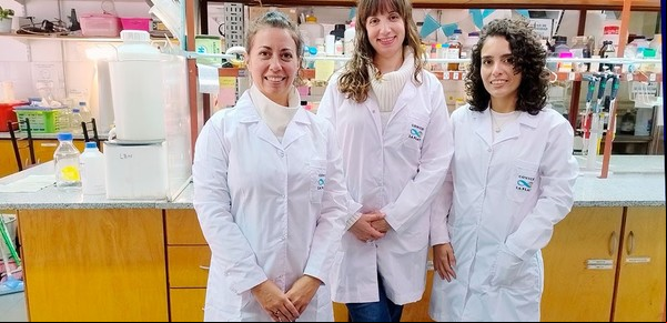 Científicas argentinas crearon una venda que acelera la cicatrización