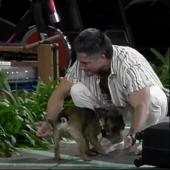 Recambio de mascotas, famosos de visita, de golpe entra más gente de la que sale y pases VIP: las maniobras de Gran Hermano para mandar en el rating