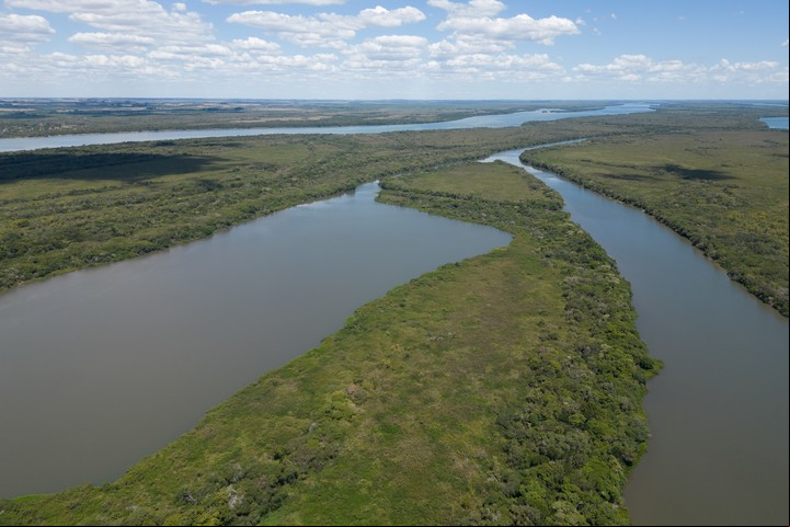 Los grandes humedales, como Entre Ríos, son lugares de reserva para la conservación de la Tierra. y la vida humana./ EFE/ Juan Ignacio Roncoroni.