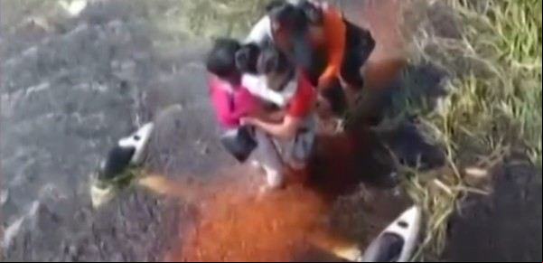 Rescate dramático: una avioneta cayó en un pantano repleto de caimanes y víboras