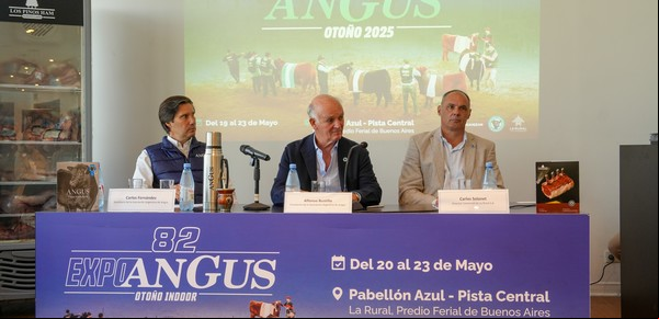 Los Angus llegan a la Capital con un récord de animales y nuevas propuestas