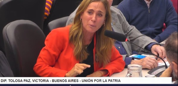 Javier Milei y sus medidas, EN VIVO: la arenga de un funcionario y el llanto de Tolosa Paz, por la baja de la edad de imputabilidad