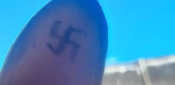 Río Negro: aparecieron perros con cruces esvásticas tatuadas en las orejas