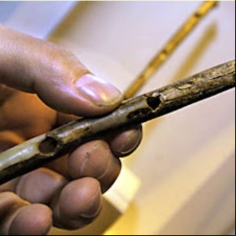 Encontraron una flauta que tiene 42.000 años y suena de manera perfecta