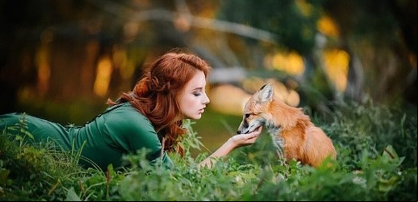 En Rusia prohíben tener en casa como mascotas lobos, osos o hipopótamos