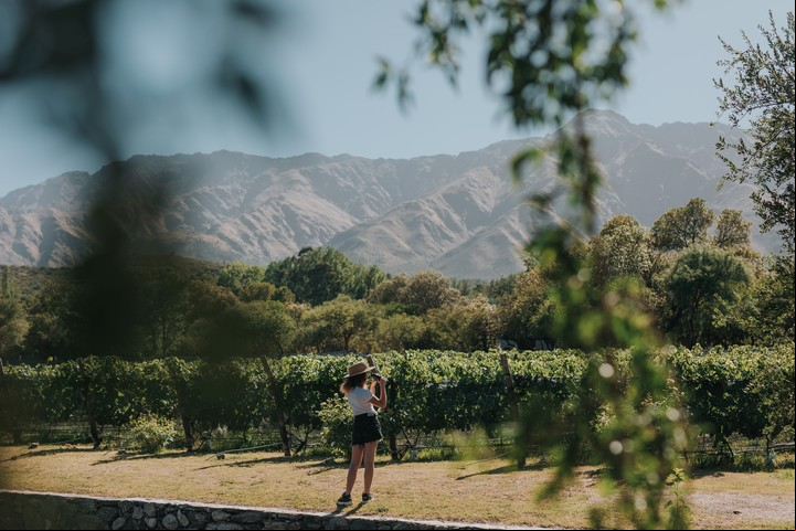 Ruta del vino en Córdoba