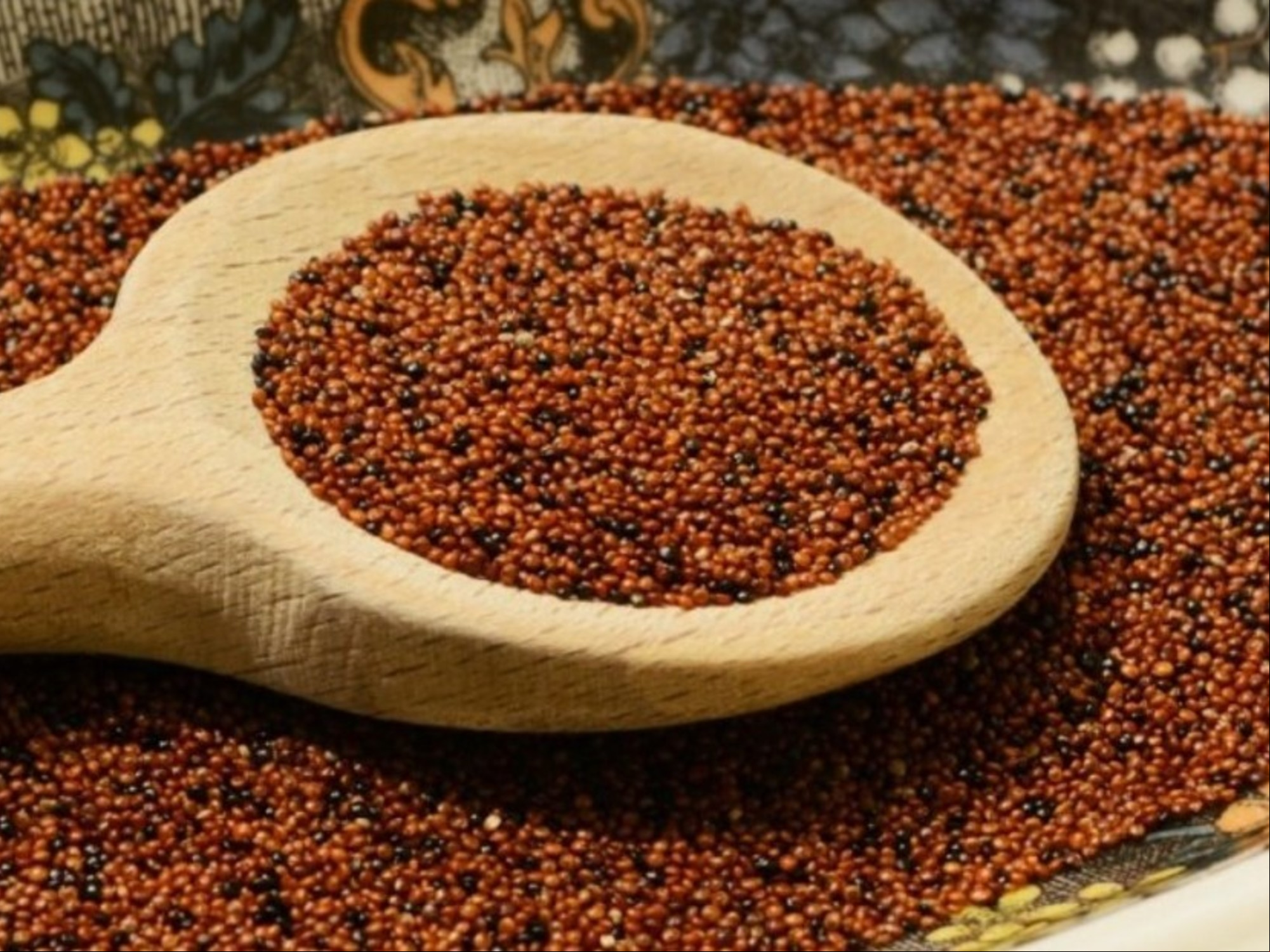 No es avena ni quinoa: el cereal sin gluten que retrasa el envejecimiento y mejora la memoria