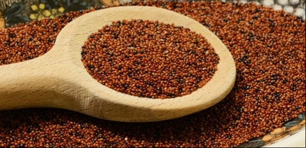 No es avena ni quinoa: el cereal sin gluten que retrasa el envejecimiento y mejora la memoria
