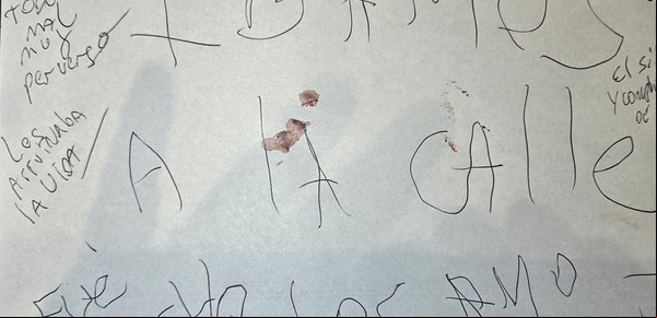 La carta detrás de la masacre de Villa Crespo: mancha de sangre y una frase que abre nuevos interrogantes